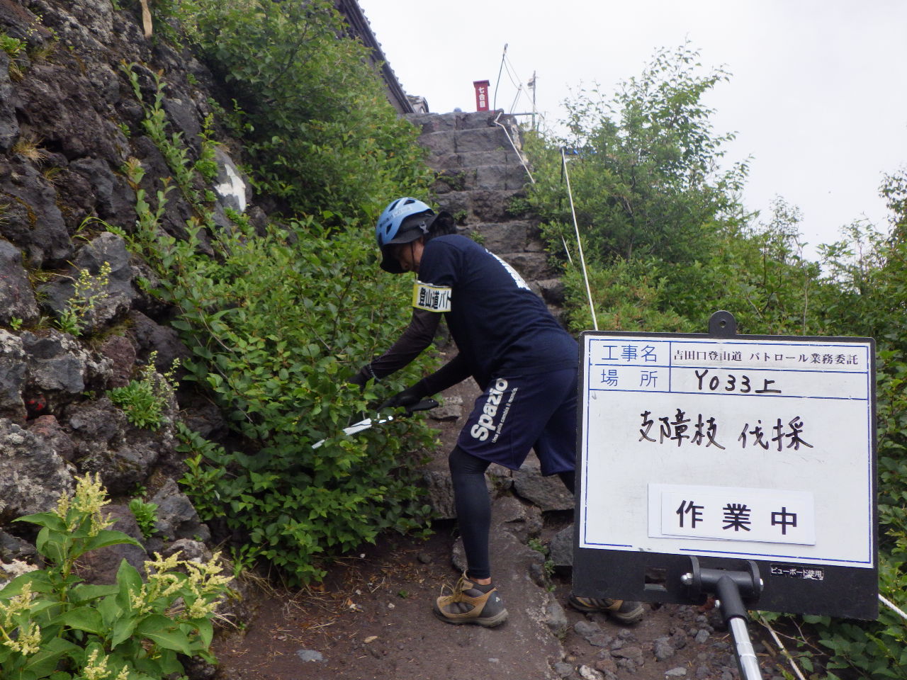 植生を除去している様子