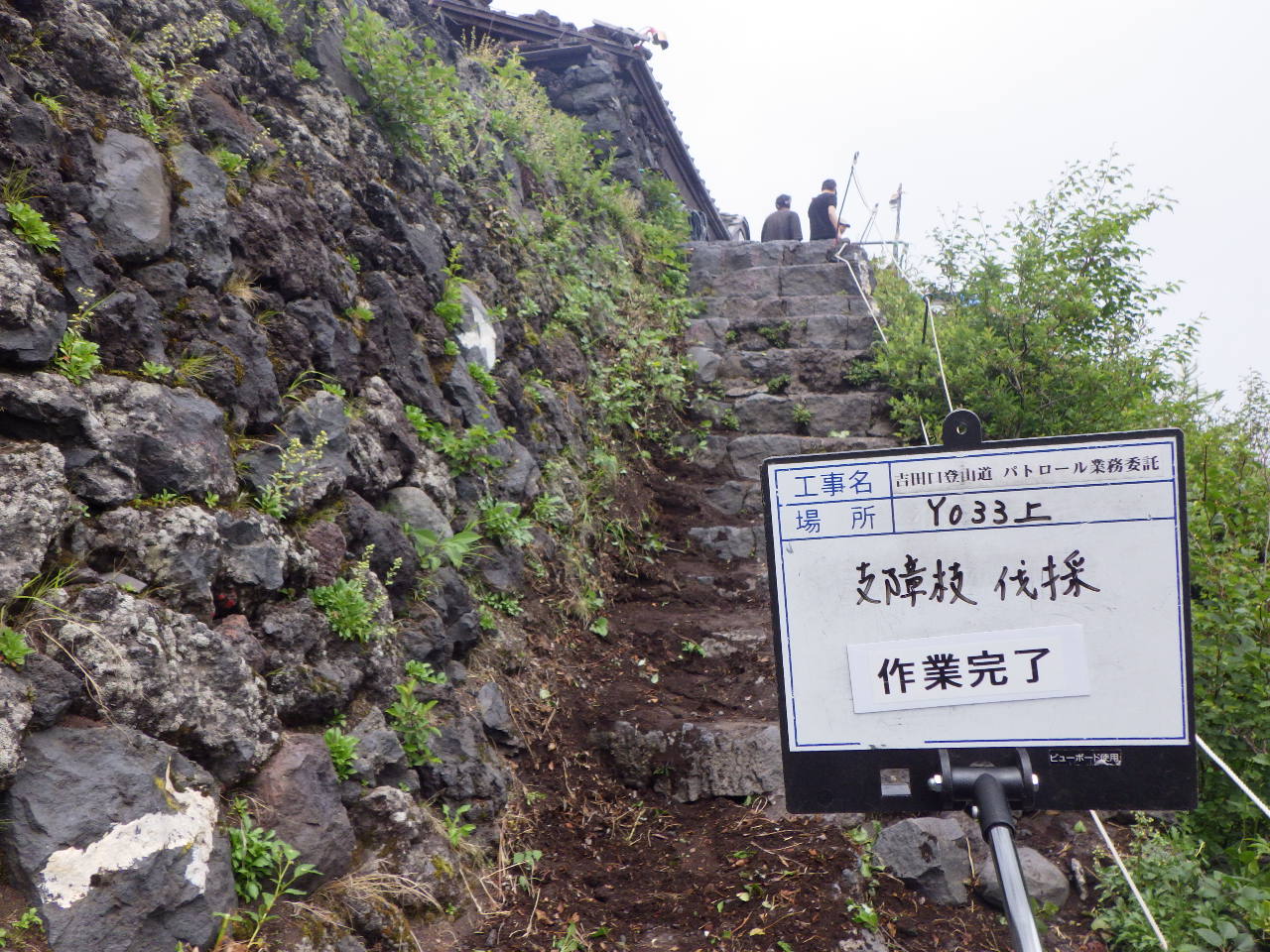 植生除去後の様子